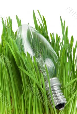 Lamp in grass isolated