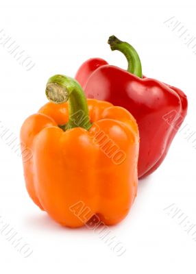 Orange and red peppe Orange and red peppe