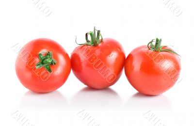 Three mellow red tomatoes