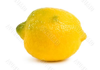Lemon Lemon