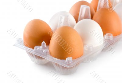 Tray eggs isolated