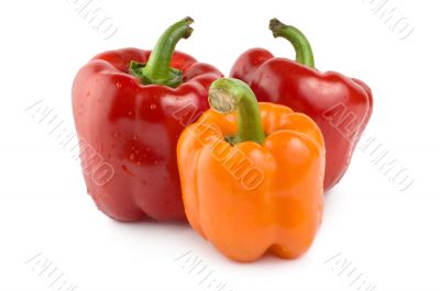 Two red and one orange pepper Two red and one orange pepper