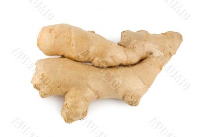 Ginger root isolated on a white Ginger root isolated on a white