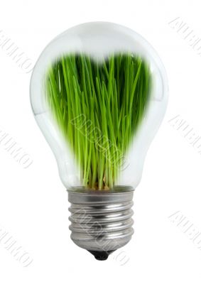 Green light bulb Green light bulb
