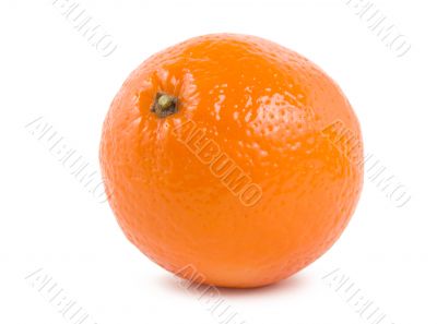 Orange Orange