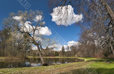 Spring in the park Spring in the park