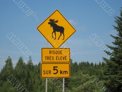 traffic sign warning for moose