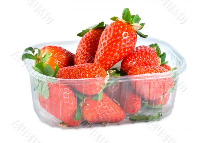 Strawberries in plastic container