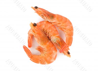 Prepared shrimp