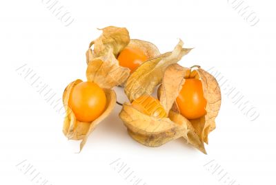 Ripe physalis