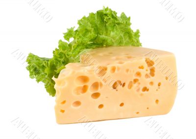 Cheese with lettuce