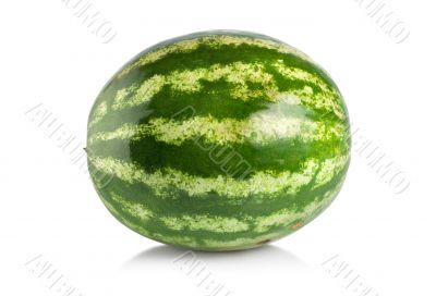 Ripe large watermelon isolated