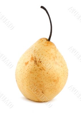 Pear