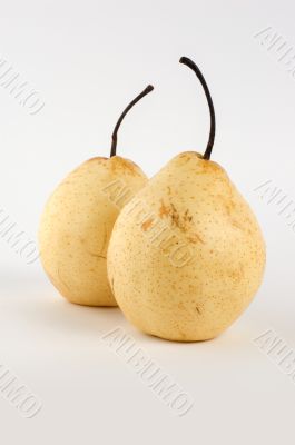 Two pears