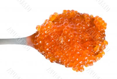 Red caviar in spoon isolated