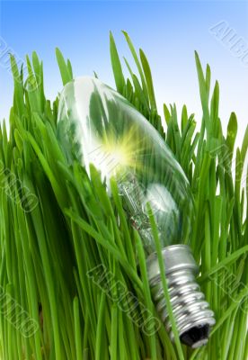 Lamp in a grass Lamp in a grass