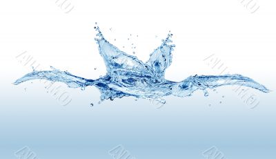 Splashing Water Splashing Water