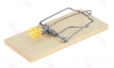 mousetrap with cheese