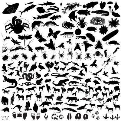 set of animal silhouettes