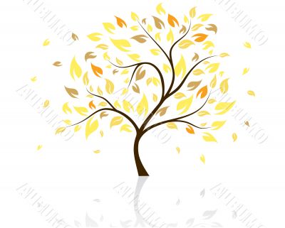 autumn tree