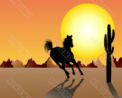 horse on sunset background