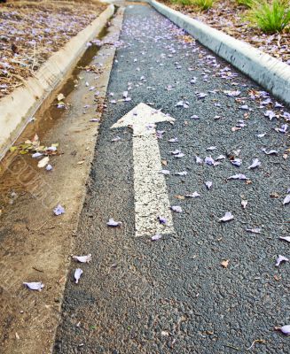 Bicycle lane