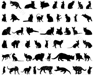 cat silhouettes set cat silhouettes set