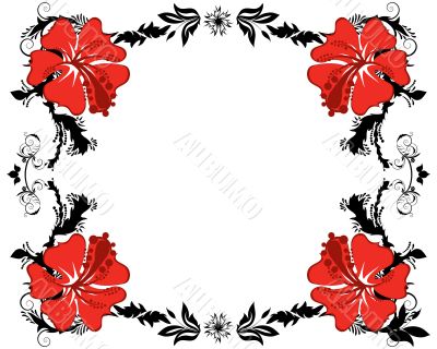 floral frame floral frame