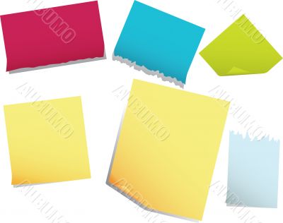 note pages note pages