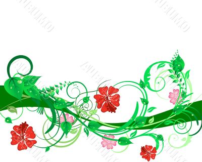 floral background floral background