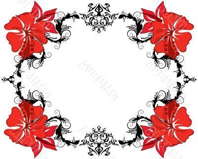 floral frame