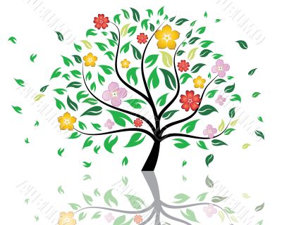 blossom tree blossom tree