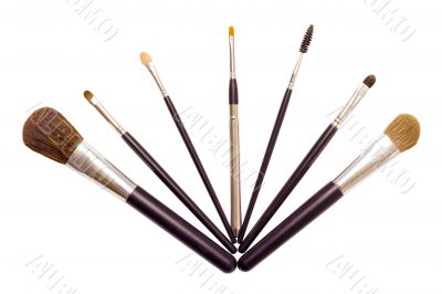 A set of brushes for applying makeup