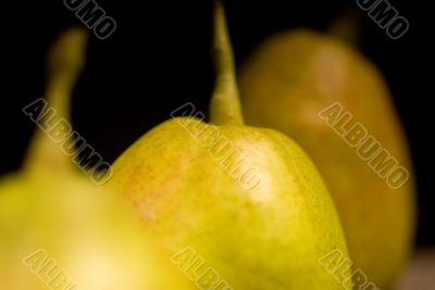 fresh pears
