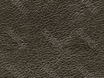 Seamless leather texture