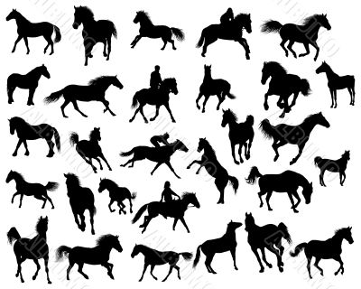 horses silhouettes