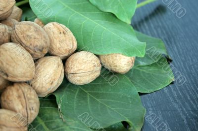 ripe nuts ripe nuts