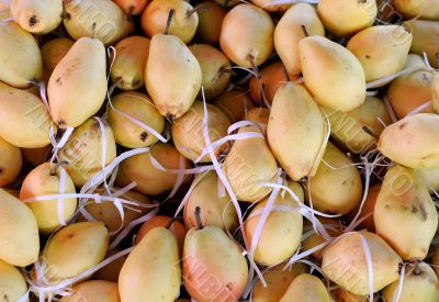 Pears In Transportation Container