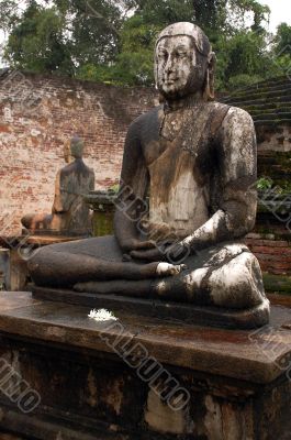 Two Seated Buddhas In The Rain