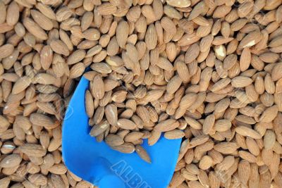 Almonds And Scoop On The Market