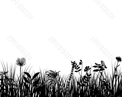 grass silhouette