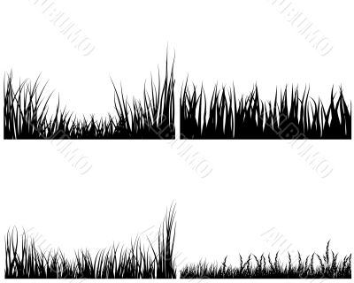 set of grasses