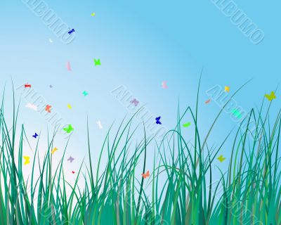 grass background