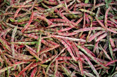 Red And Green Chili Peppers