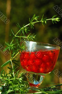 Red Currant in the Glass Of Wine
