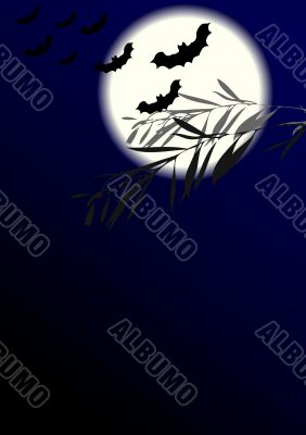 Moonlight night Moonlight night