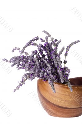 Alternative Medicine Alternative Medicine