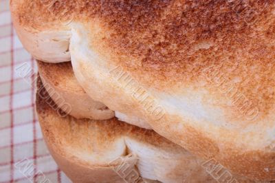 Toasted Bread Toasted Bread