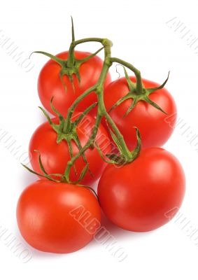 red tomatoes
