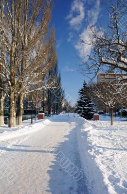 Korolev Avenue in the Town of Korolev
